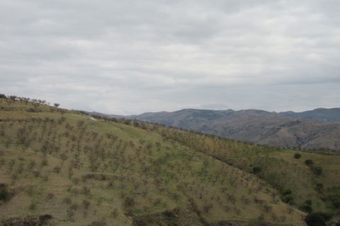 Landsbyhus i Albondon, Granada, Albondon - € 53.000 | Ref: C0552 - foto 43